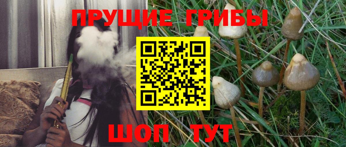 Галлюциногенные грибы мицелий  Вход с VPN  Дедовск  Псилоцибиновые грибы GOLDEN TEACHER 
